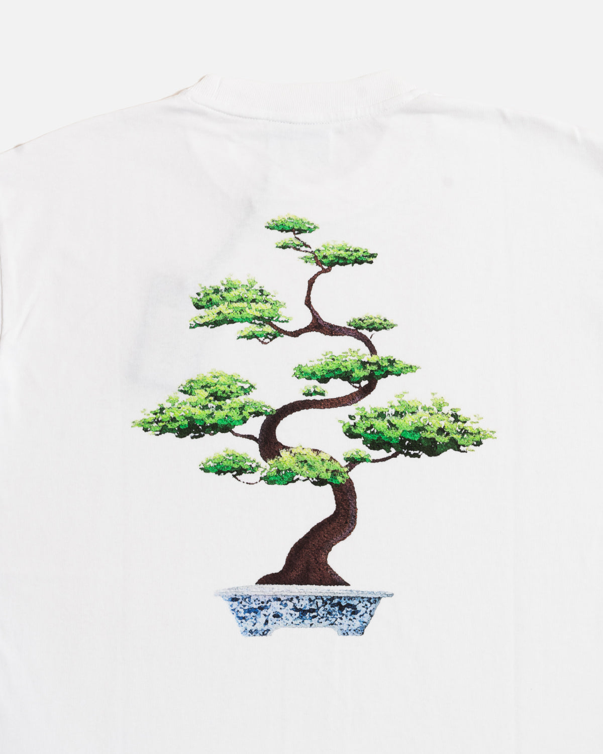 Percival Bonsai Tree Oversized T Shirt