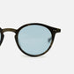 Globe Specs Salinger RBL-06