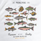 Percival Fish Oversized T-Shirt White